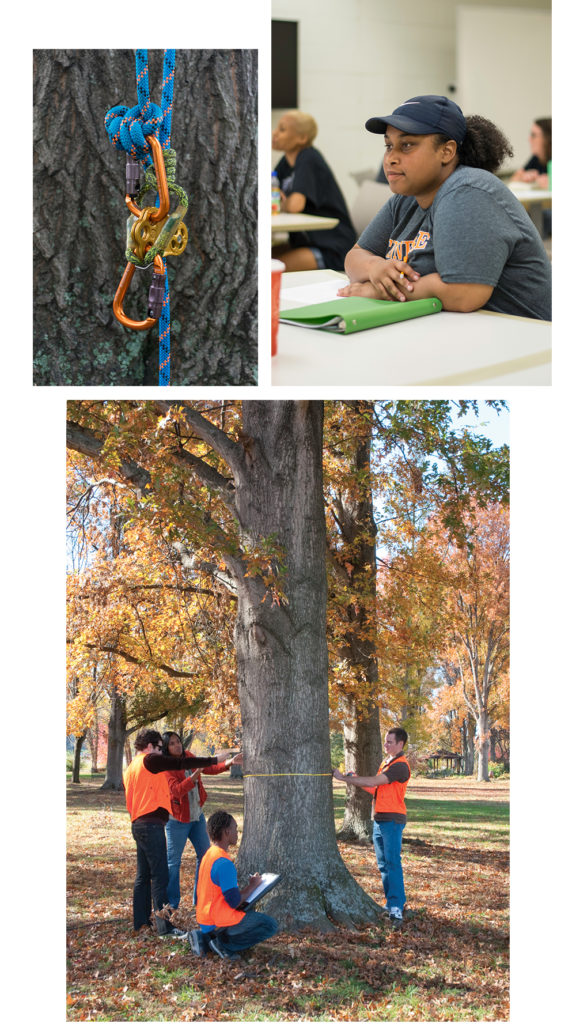 Collage of urban forestry students in the field an in a classroom and climbing gear.